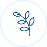 Illustration of branch with leaves